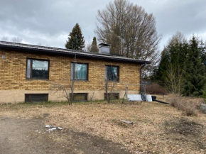 Home with private garden near golf, beach, fishing Hartola